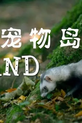 《宠物岛》影评：韦斯·安德森的定格动画乌托邦，一场视觉盛宴与人文关怀的完美结合！