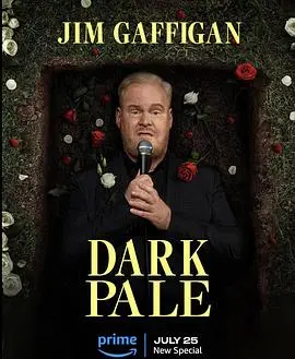 吉姆·加菲根的深灰世界：幽默与黑暗的双重冒险