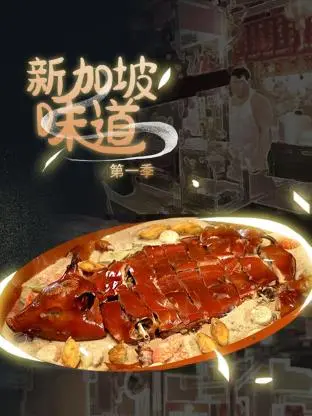 《新加坡味道》：舌尖上的狮城故事，美食与人情味的暖心之旅！